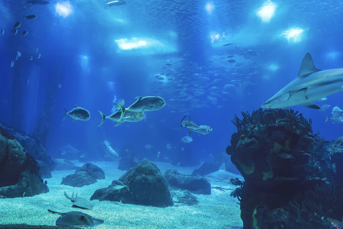 Oceanário de Lisboa