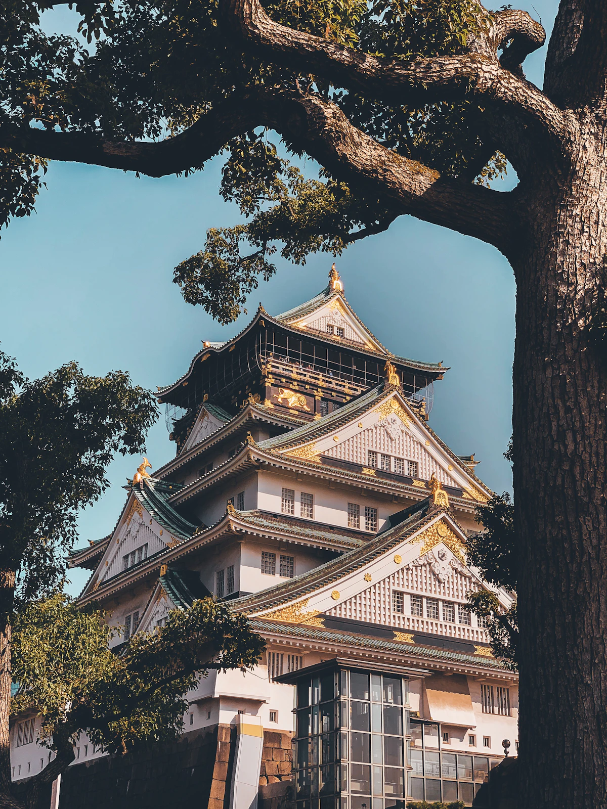 Osaka Castle (Main Tower / Tenshukaku)