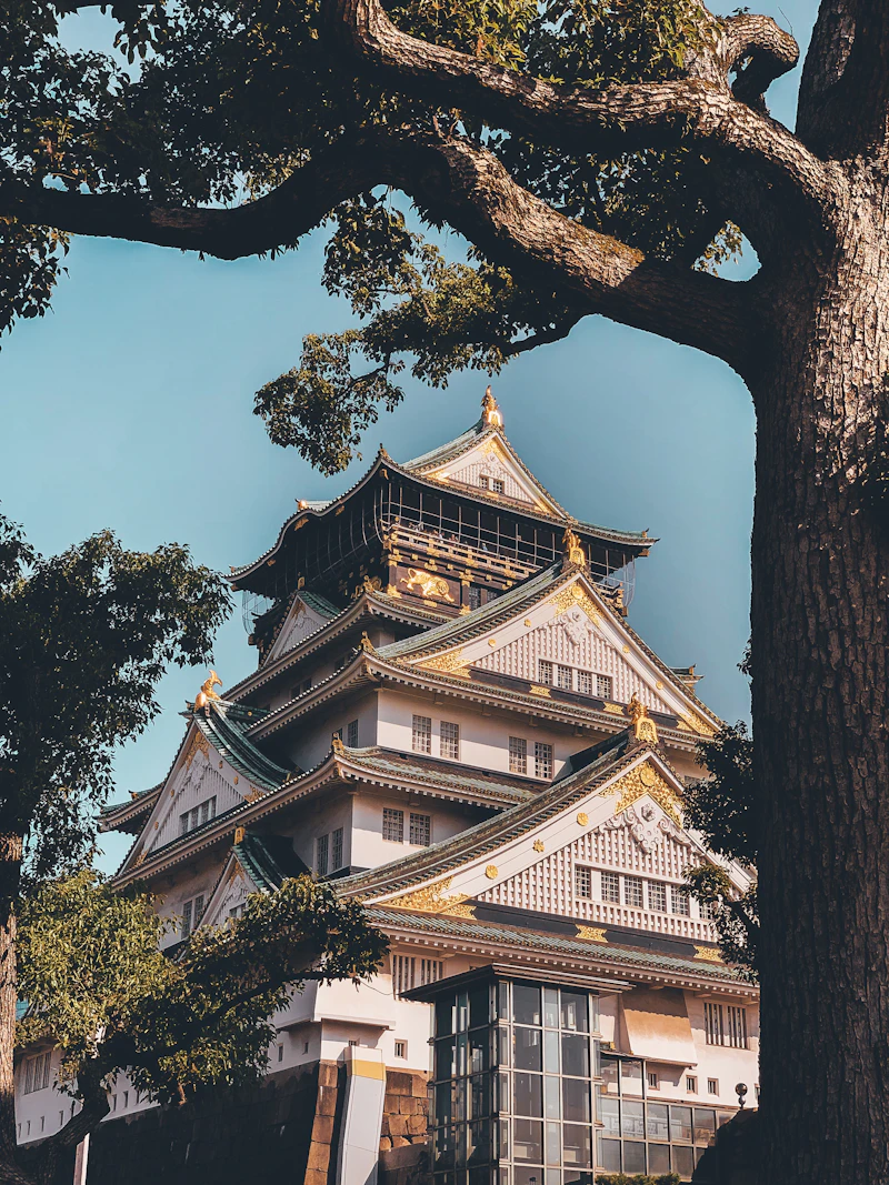 Osaka Castle Guide