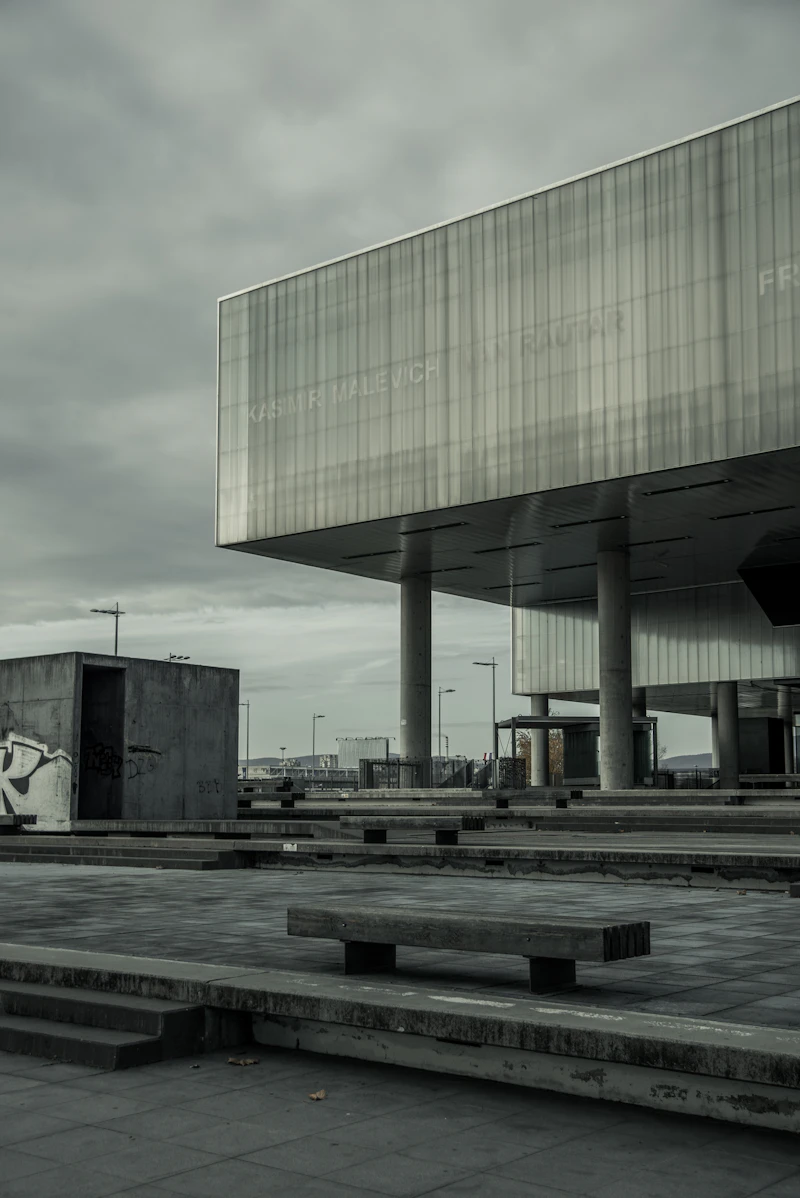 Museum of Contemporary Art (MSU) Guide