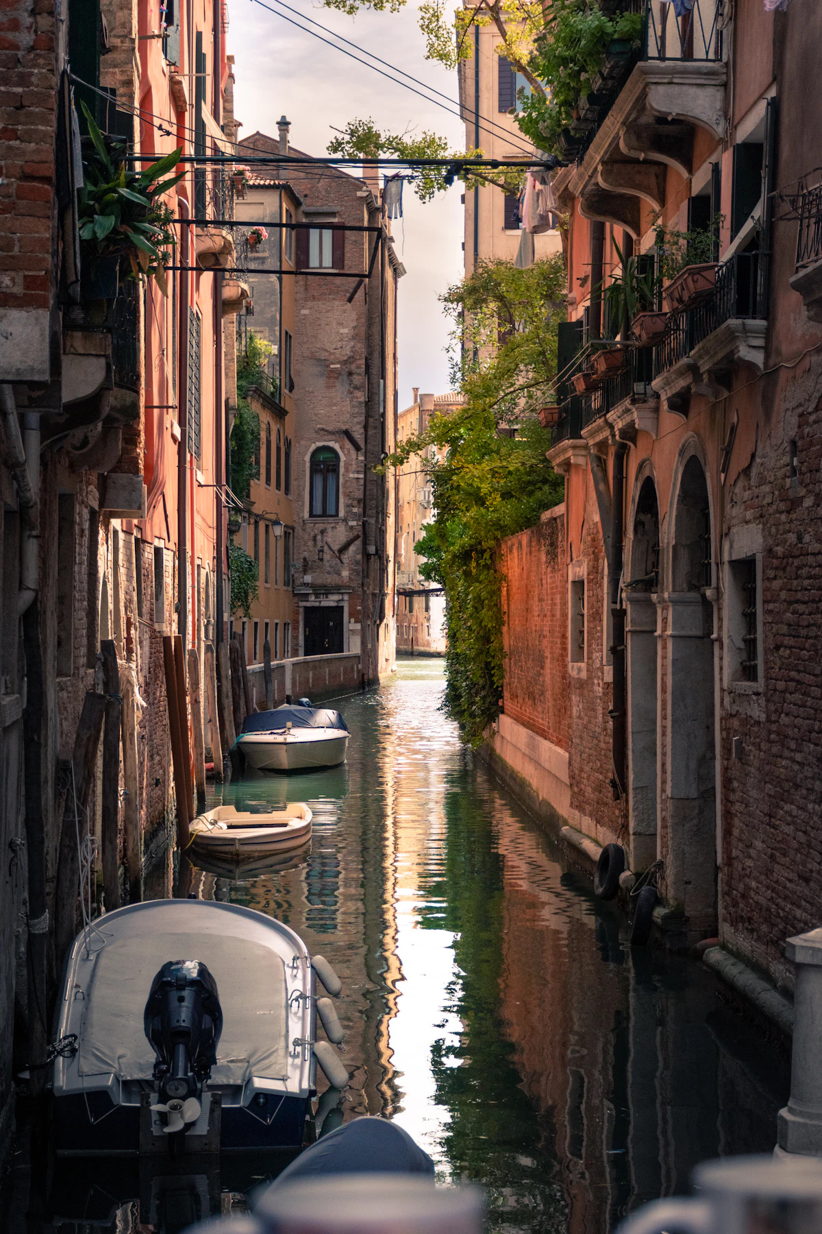 Grand Canal Guided Boat Tour (commercial)