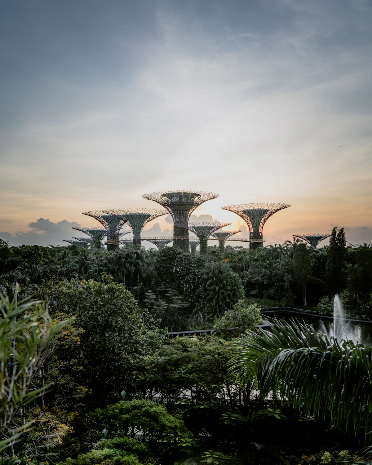 Gardens by the Bay