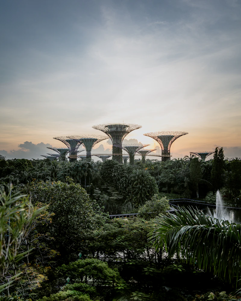 Gardens by the Bay Guide