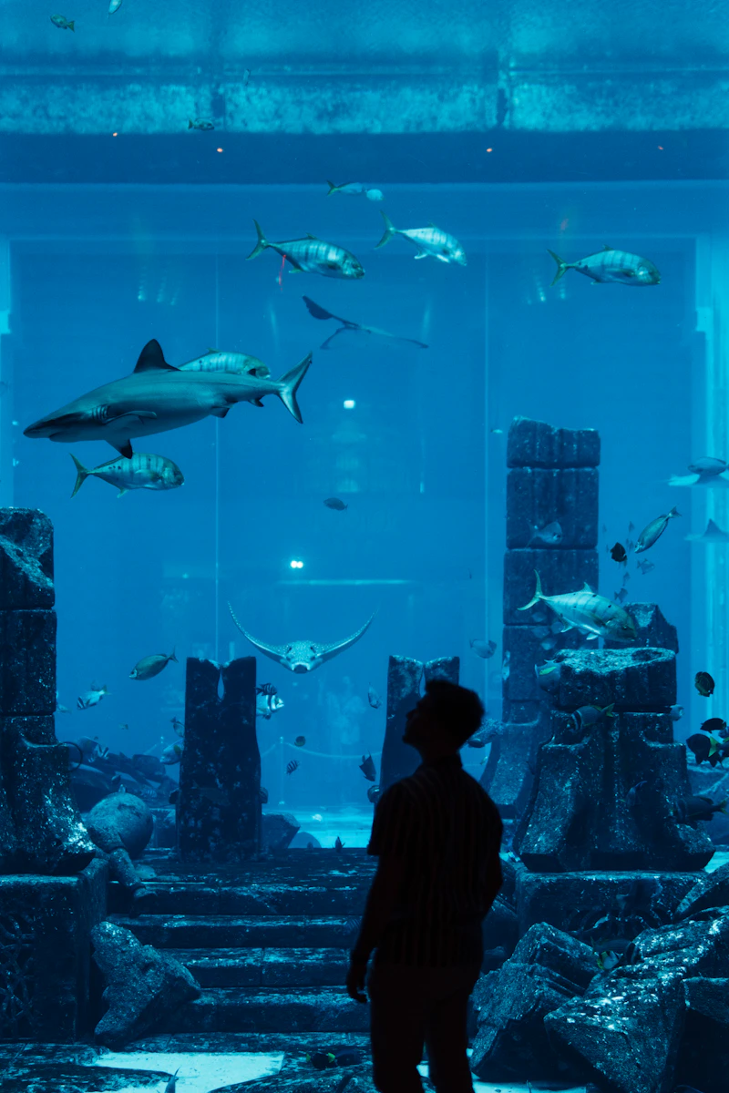 Guía del Acuario de Dubái