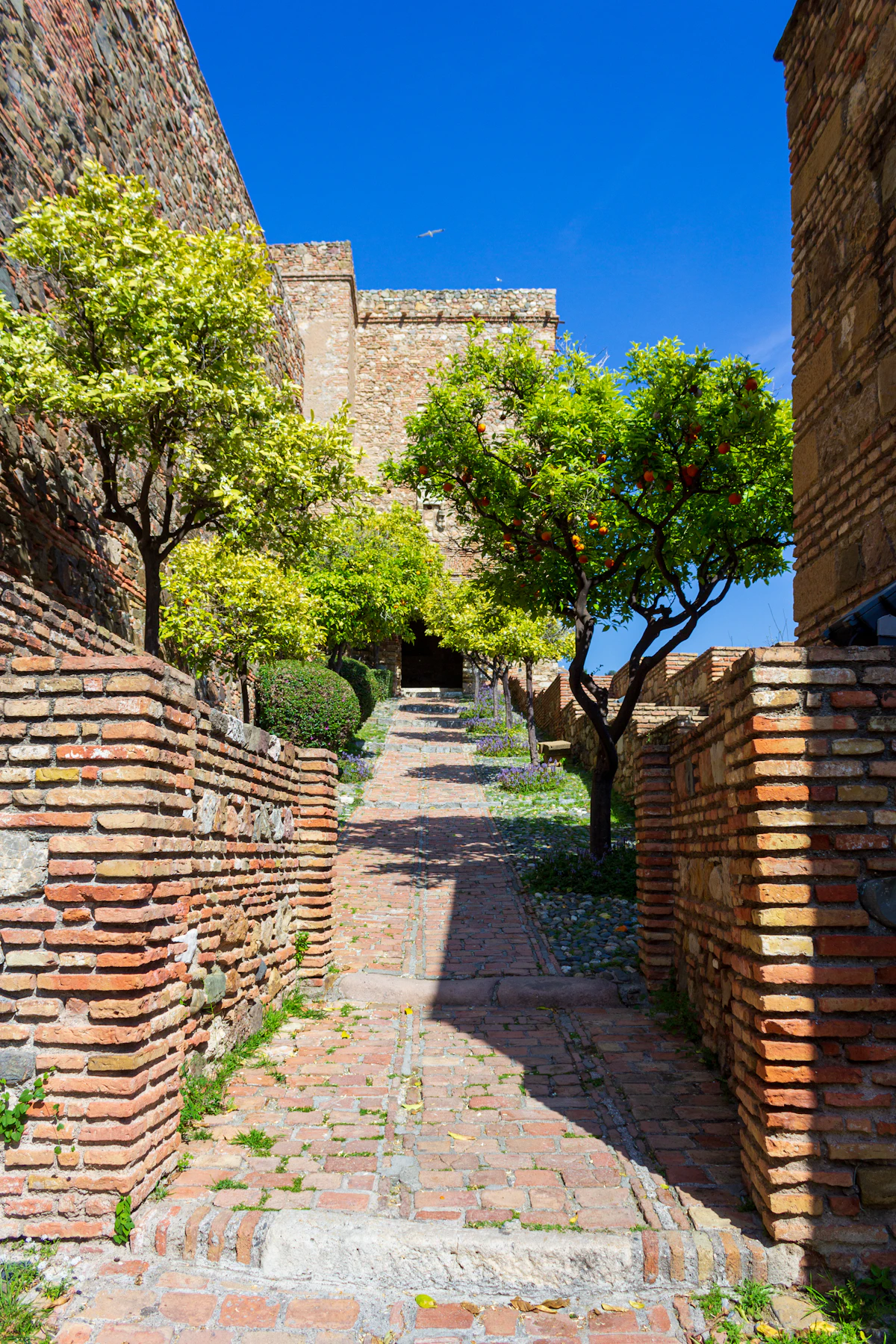 Alcazaba de Málaga (Moorish Fortress)