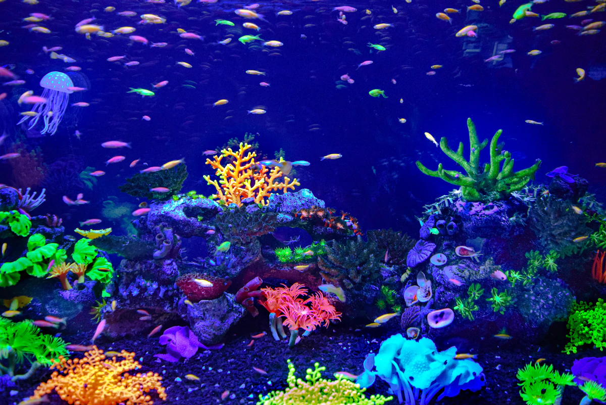 Ein violettes und rosa Korallenriff unter Wasser (repräsentatives Bild, nicht das tatsächliche Lost World Aquarium)