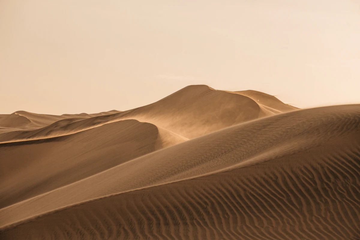Evening Desert Safari with BBQ Dinner & Dune Bashing (Sahara Adventure Tours & Safari)