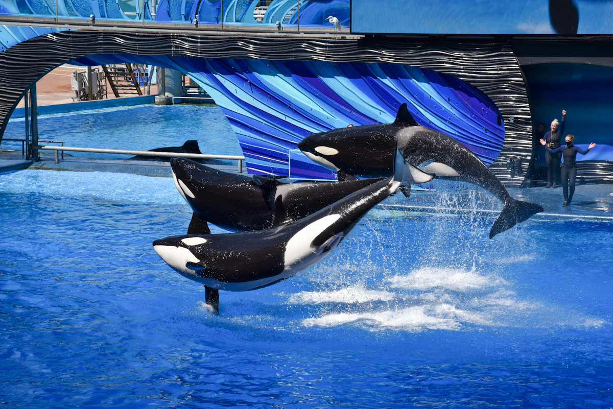 SeaWorld Orlando