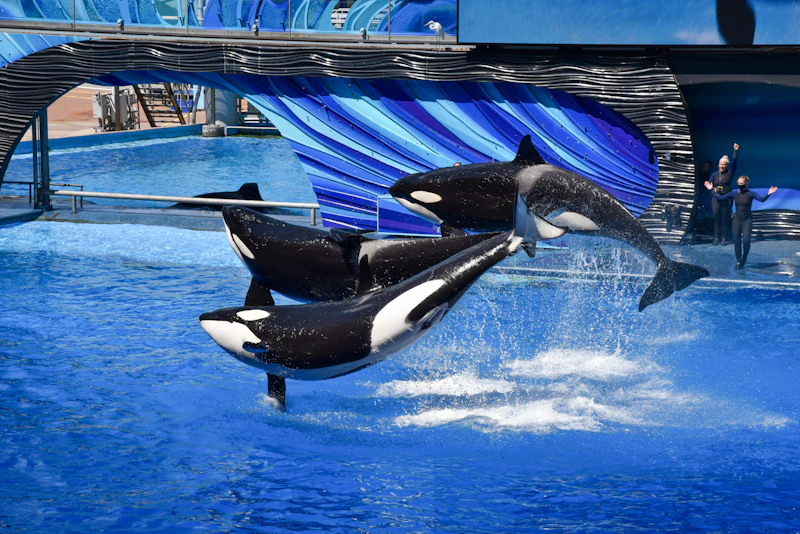 SeaWorld Orlando Guide