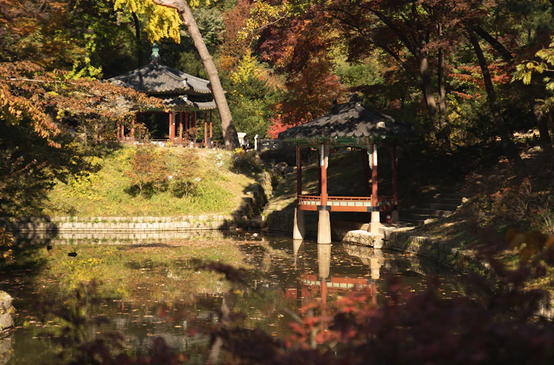 Changdeokgung Palace Guide