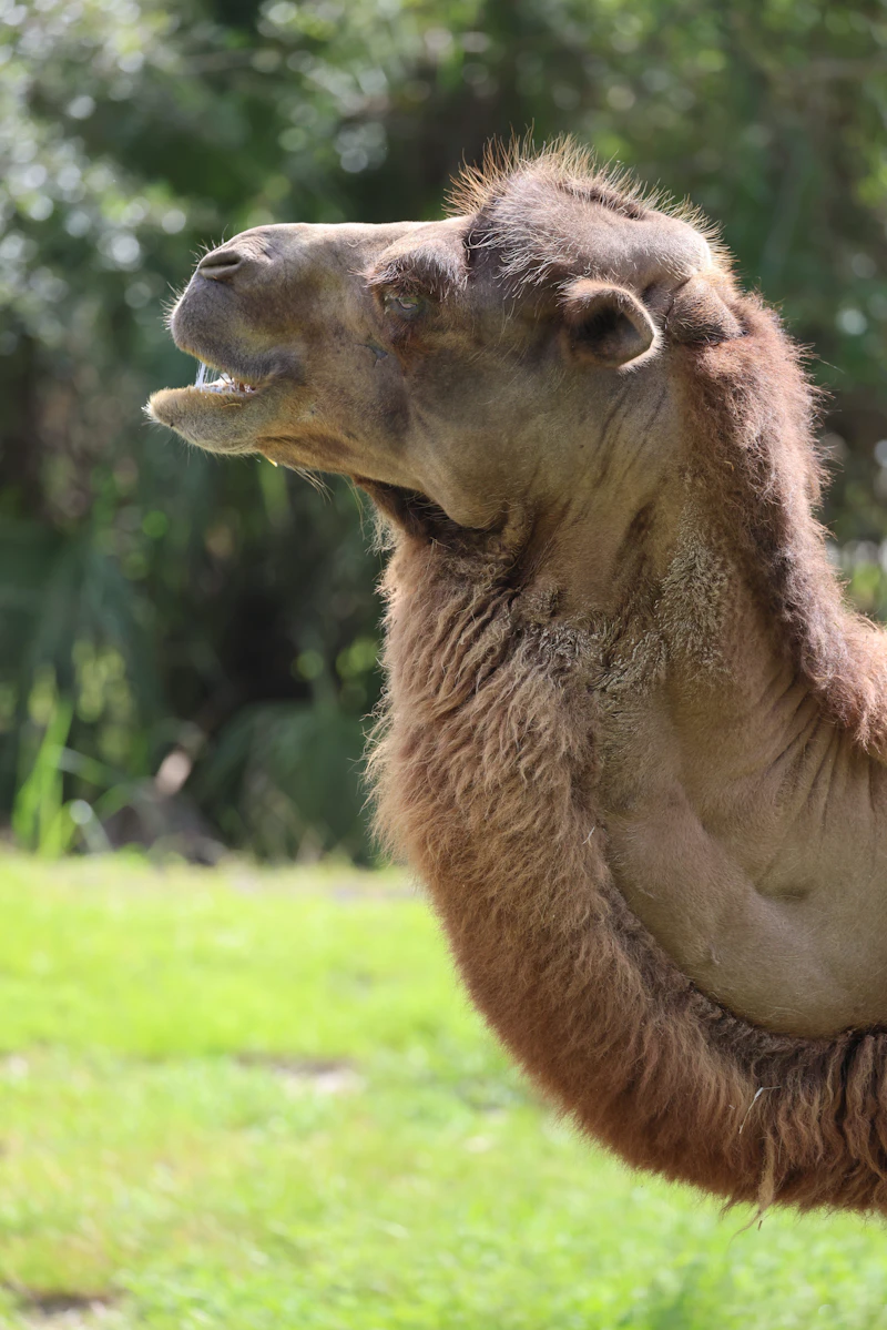 Zoo Miami Guide