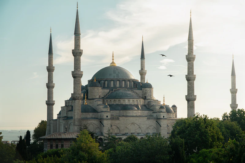 Blue Mosque Guide