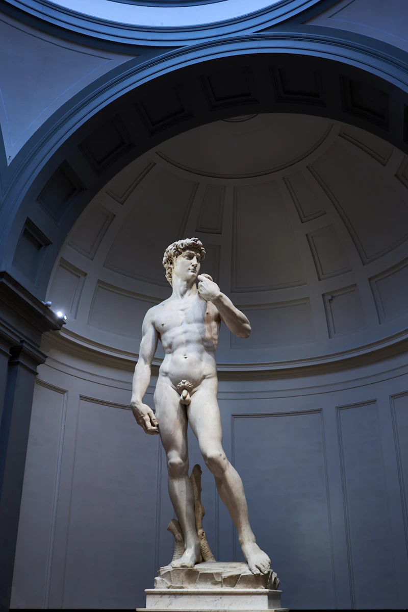 Guía de la Galería de la Accademia