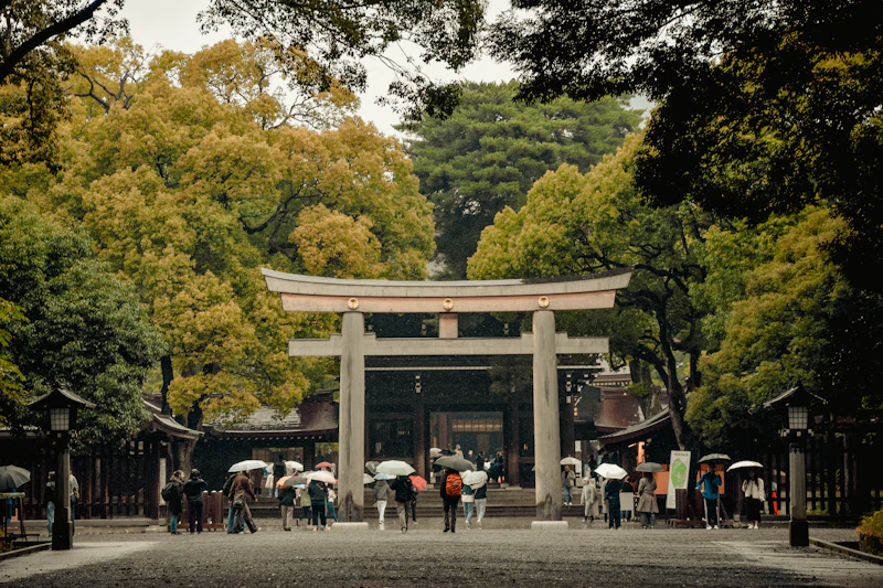 Meiji Shrine Guide