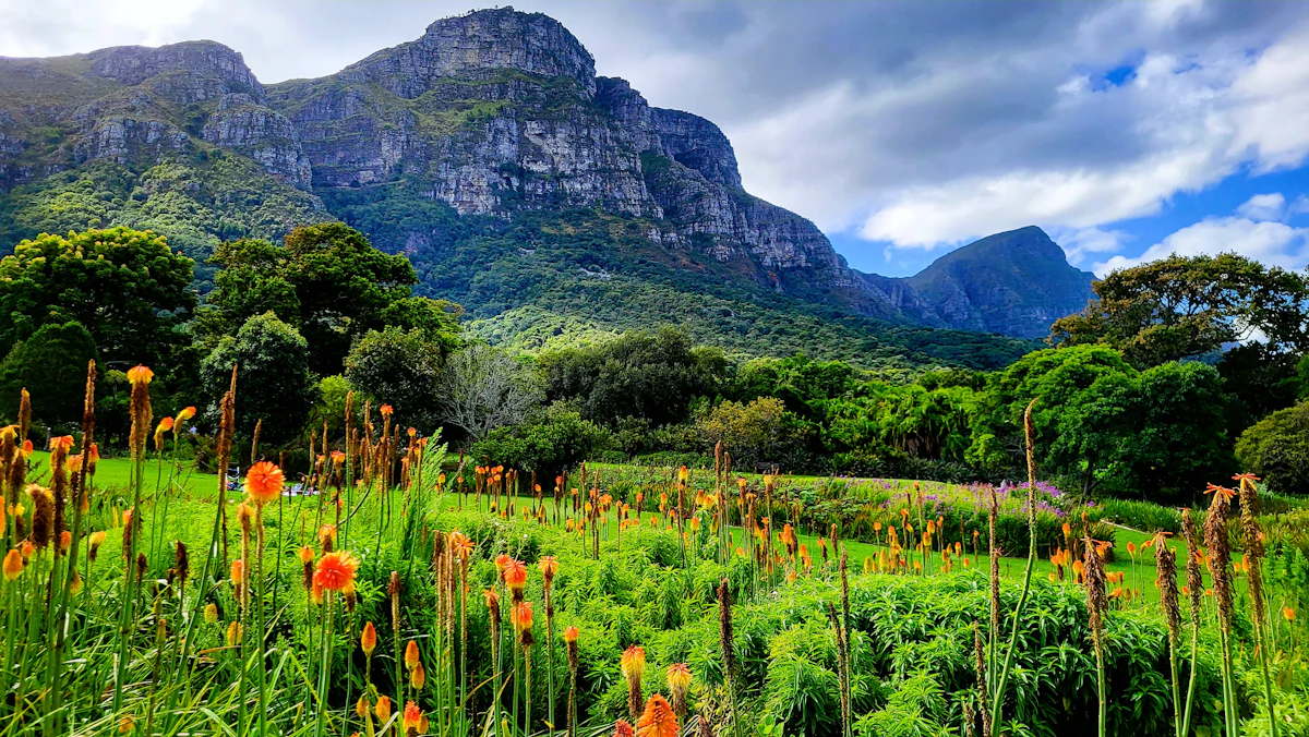 Kirstenbosch National Botanical Garden