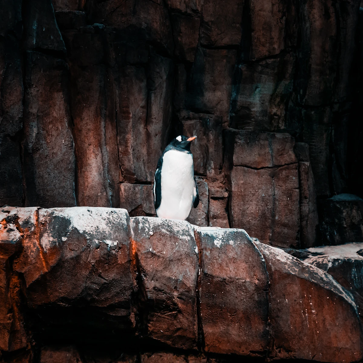 Biodôme de Montréal