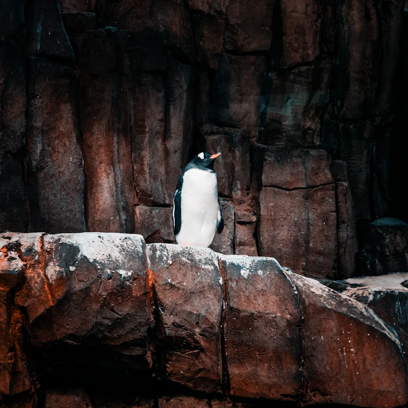 Biodôme de Montréal Guide