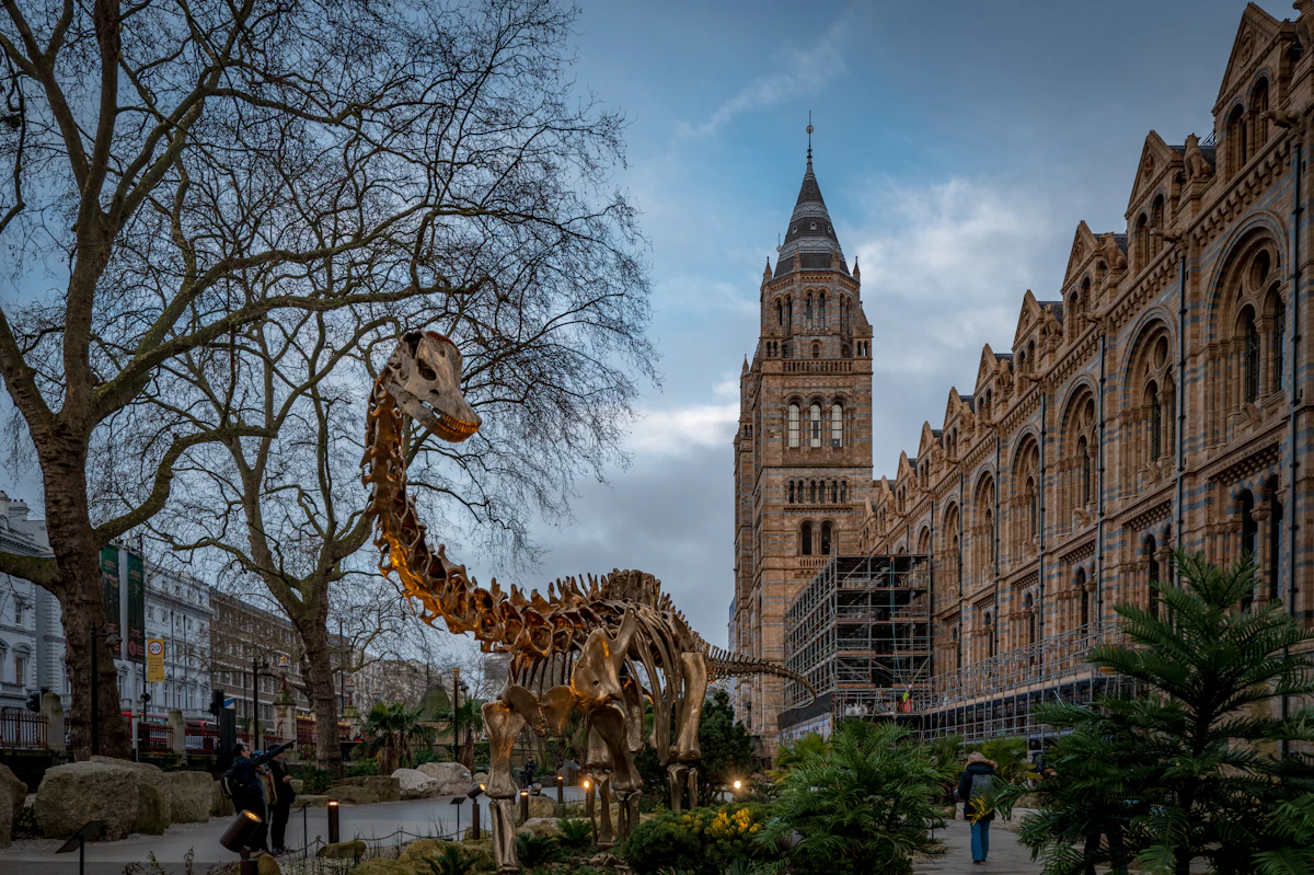 Natural History Museum