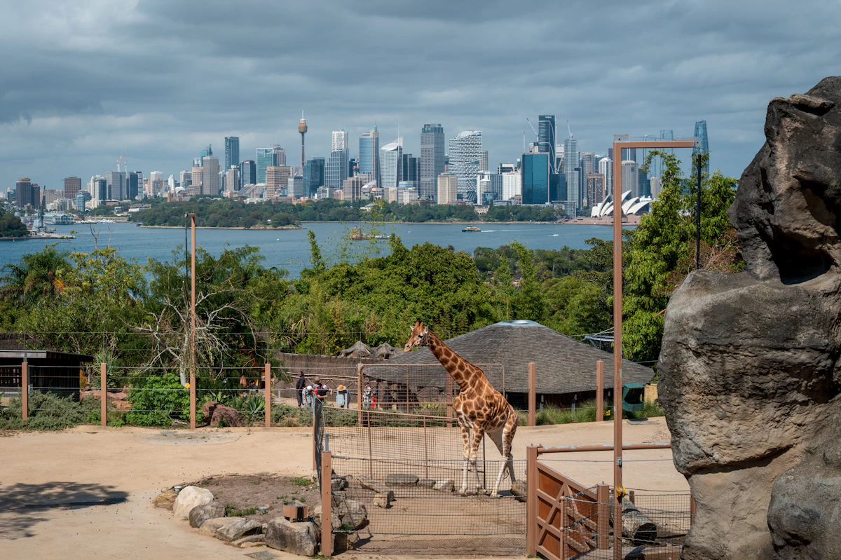 Taronga Zoo Sydney