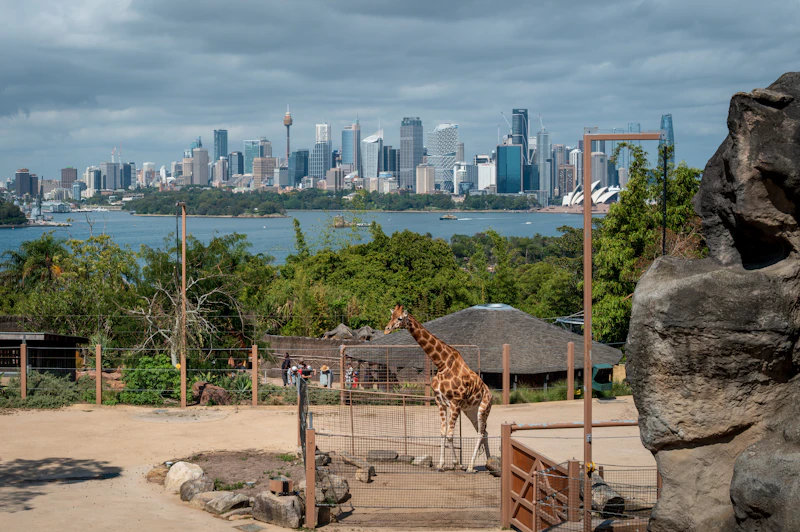 Taronga Zoo Sydney Guide